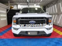 Venta de FORD F-150 LARIAT SPORT 5.0 AUT - UN DUEÑO