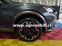 Venta de CUPRA FORMENTOR TSI 2.0 4X2 AUT - UN DUEÑO